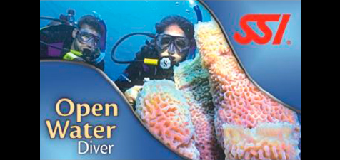 Curso Open Water Diver Junior